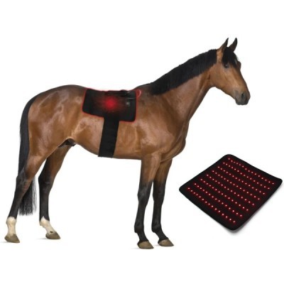 Infrared Light Therapy Pad for Equine Use