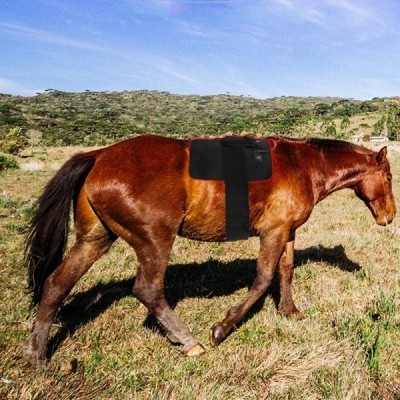 Infrared Light Therapy Pad for Equine Use