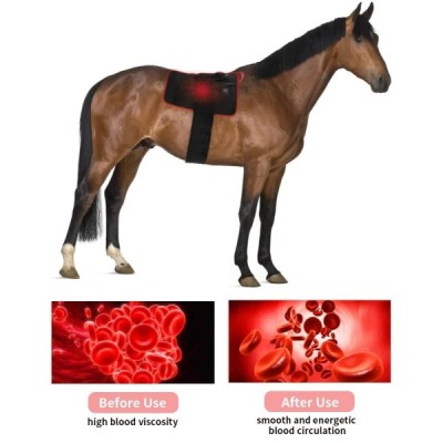 Infrared Light Therapy Pad for Equine Use