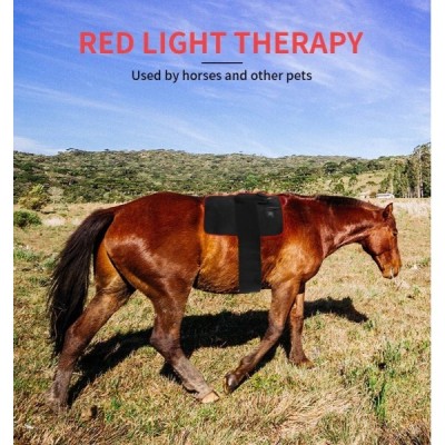 Infrared Light Therapy Pad for Equine Use