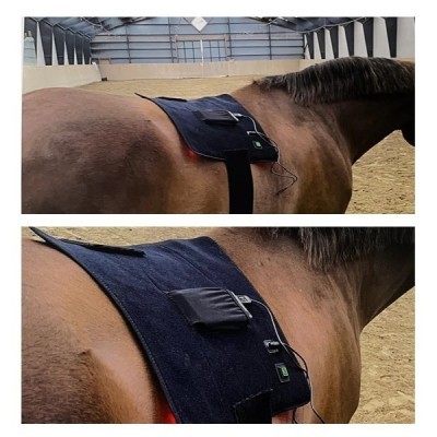 Infrared Light Therapy Pad for Equine Use