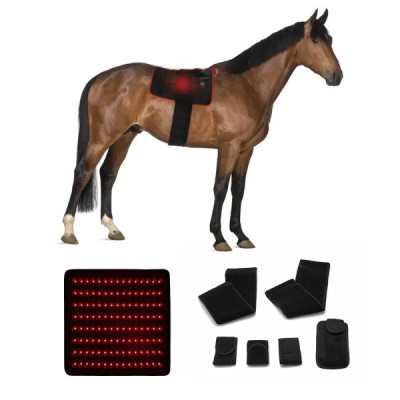 Infrared Light Therapy Pad for Equine Use