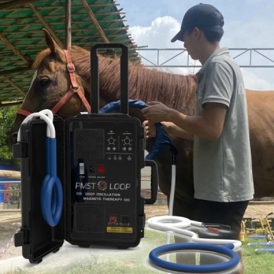 Magnawave PEMF Massager for Horses