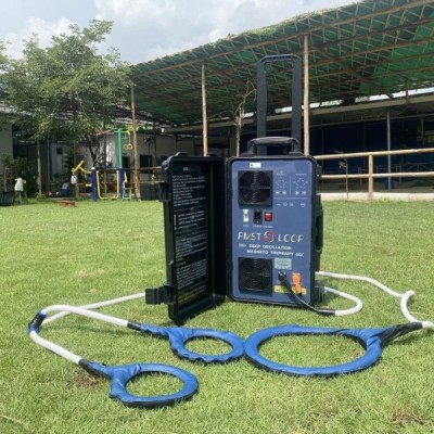 Magnawave PEMF Massager for Horses