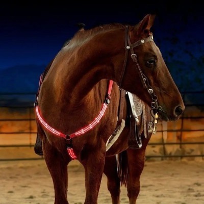 LED Nylon Horse Harness in Red