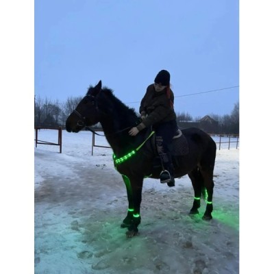LED Nylon Horse Harness in Red