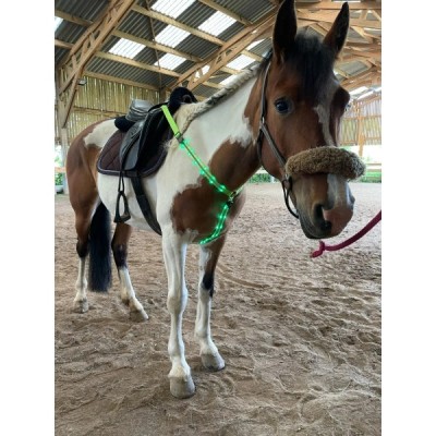 LED Nylon Horse Harness in Red
