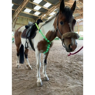 LED Nylon Horse Harness in Red