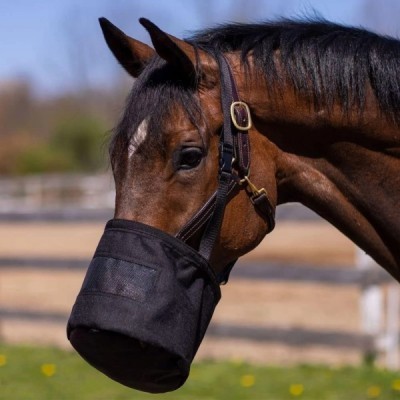 Equine Grazing Muzzle