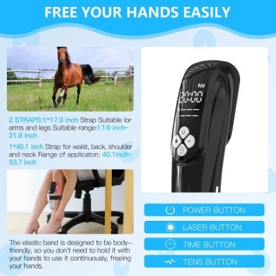Horse infrared red light therapy device targeting muscles and tendons to support equine injury recovery and mobility