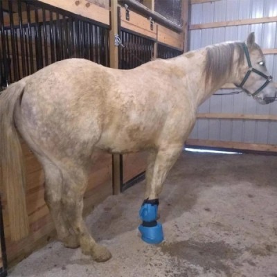 Horse Hoof Soaking Boot – Easy Use Hoof Treatment Bag